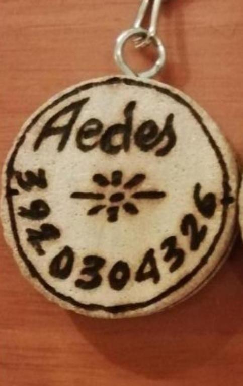 Gruppo Aedes Alghero, Residenza Michelangelo - 500 Mt Dalla Spiaggia Екстер'єр фото